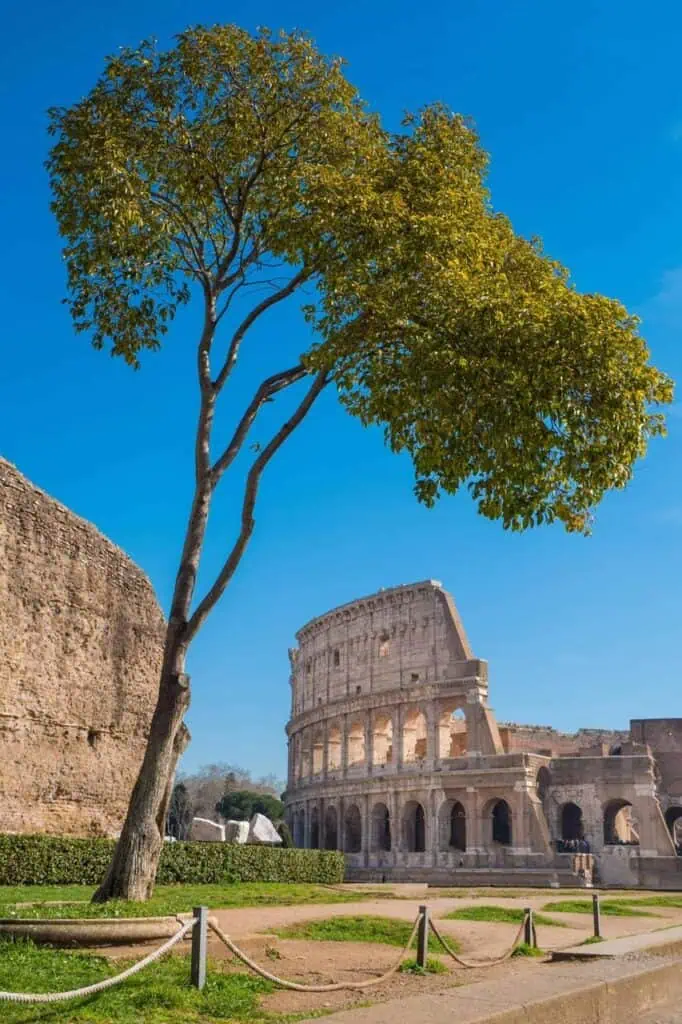 The Colosseum in Rome, a must-visit historical site for students studying history and architecture.
