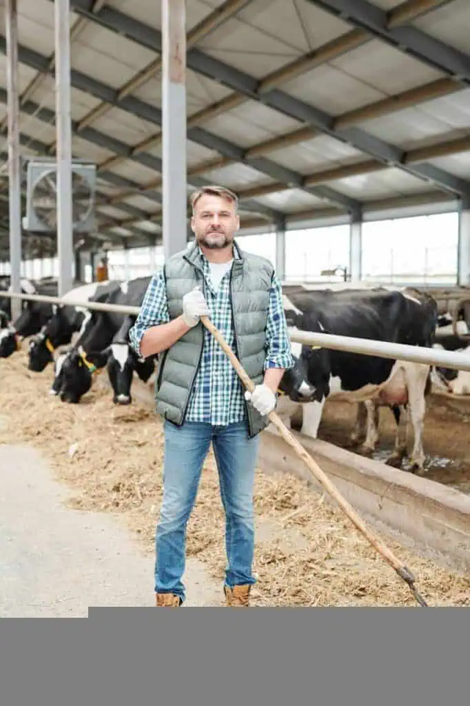 A dedicated dairy farmer standing in a cattle barn, managing livestock and ensuring sustainable milk production.