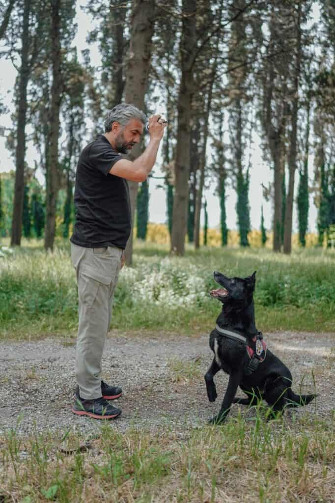 Professional dog trainer working with a black service dog in a forest setting.
