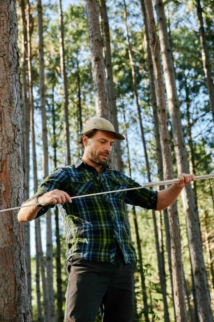 A forestry manager measuring tree growth in a dense forest, representing sustainable forestry management and conservation careers.