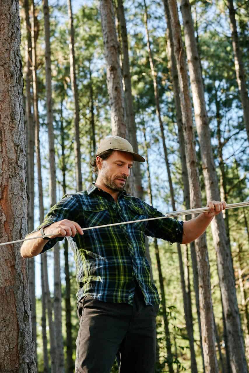 A forestry manager measuring tree growth in a dense forest, representing sustainable forestry management and conservation careers.