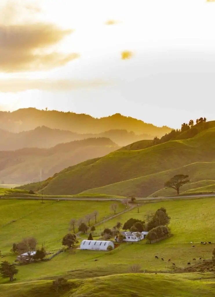 Scenic rural landscape in New Zealand at sunrise, showcasing the country's natural beauty.