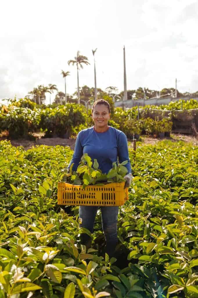 Smiling plant nursery manager holding a basket of young plants in a lush green nursery.