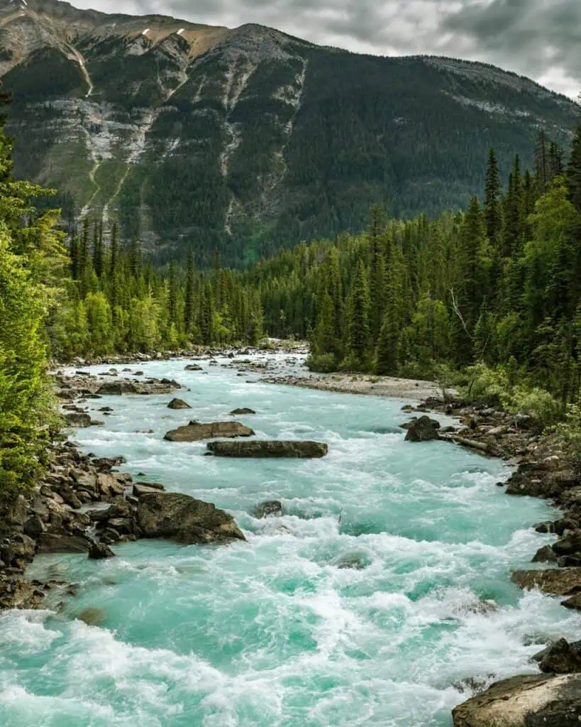 Turquoise river flowing through a dense forest with towering mountains in the background, symbolizing adventure, education, and career opportunities in Canada.