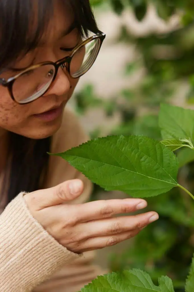Environmental protection officer closely inspecting green leaf in outdoor habitat